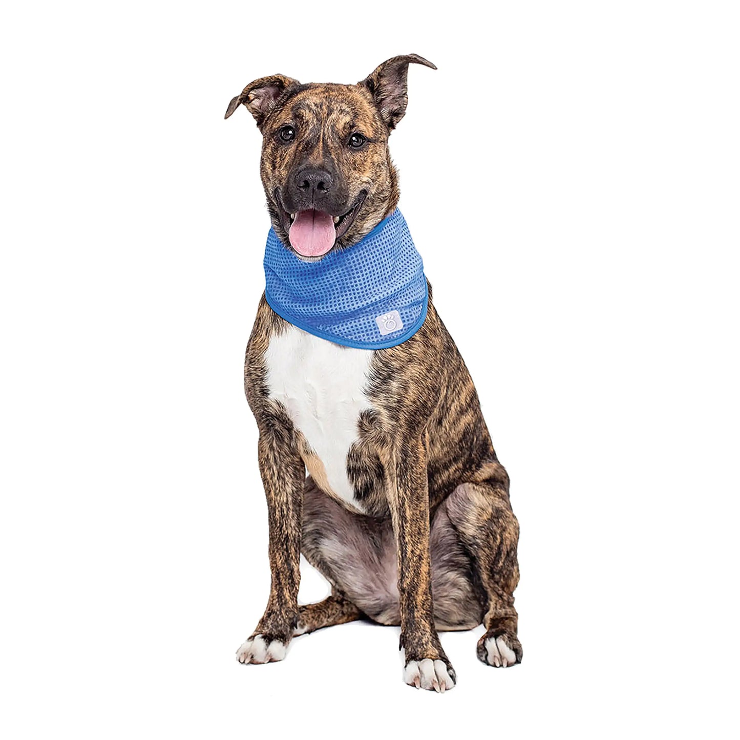 Dog Cooling Bandana by Anti Spier
