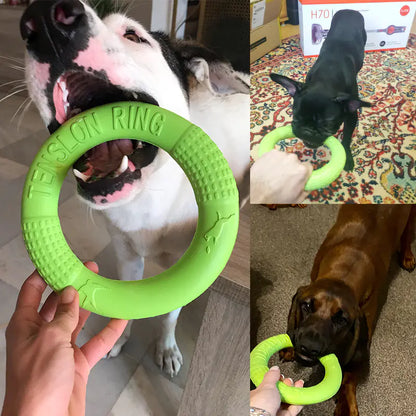 Interactive EVA Training Ring by Anti Spier