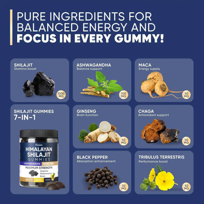 Shilajit Gummies 1000mg, Shilajit Gummies for Men and Women, Energy, Immunity by Anti Spier