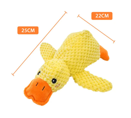Calming Duck Toy by Anti Spier