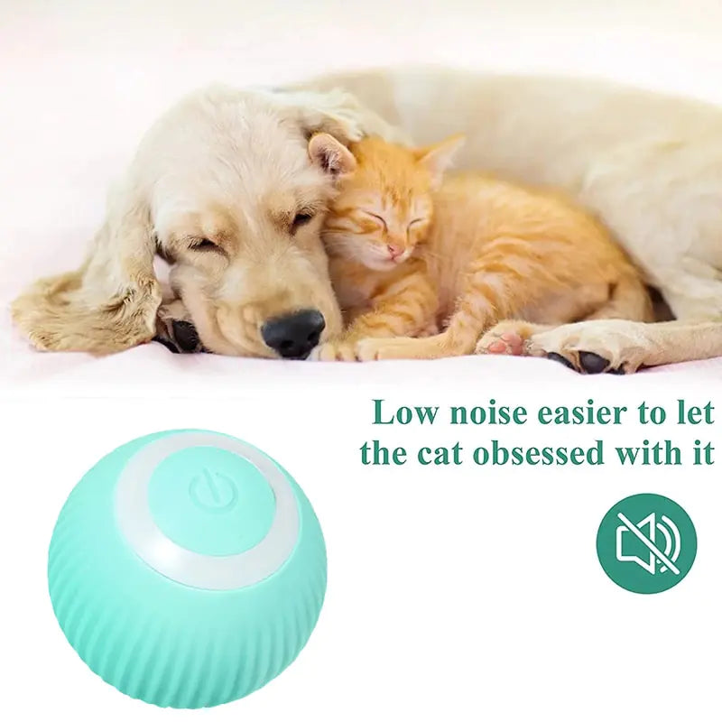 Electric Dog Toys Smart Puppy Ball Toys For Cat Small Dogs Funny Auto Rolling Ball Self-moving Puppy Games Toys Pet Accessories by Anti Spier