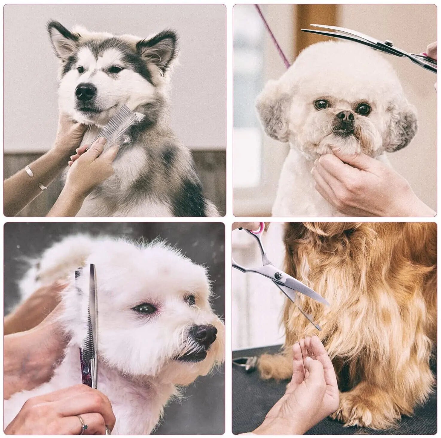 Pet Dog Grooming Scissors Stainless Straight Curved Thinning Shears Trimmer Kits by Anti Spier
