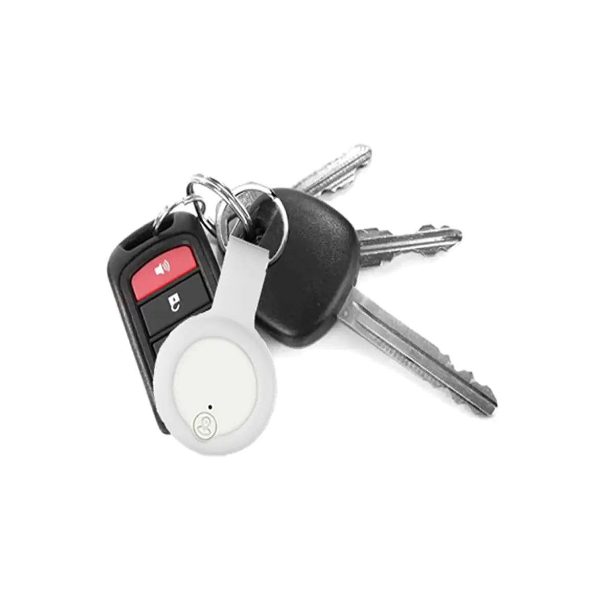 Anti Lost Device 2/Pack by Anti Spier