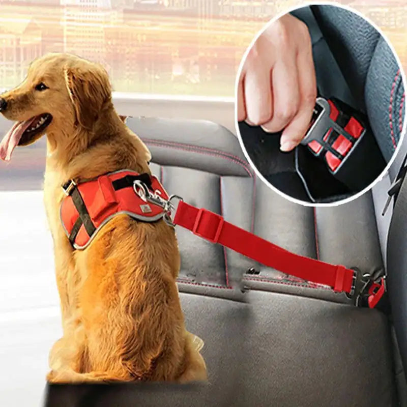 Adjustable Dog Safety Seat Belt by Anti Spier