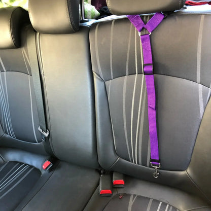 Pet Car Seat Belt & Harness Safety And Style by Anti Spier