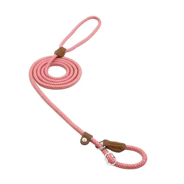 Nylon Pup Set by Anti Spier