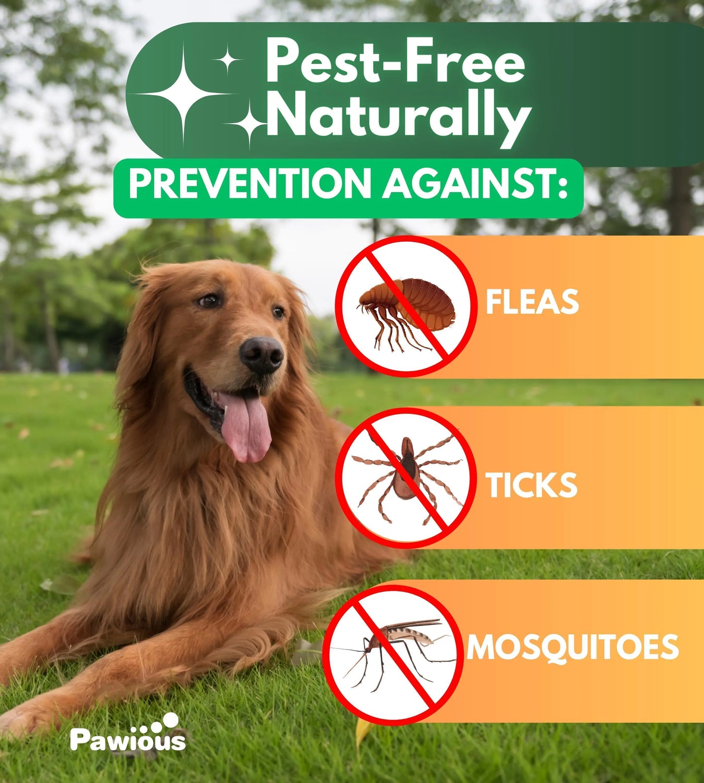 Parasites Prevention for Dogs Chewables Natural Dog Insects Control 120 Tablets by Anti Spier