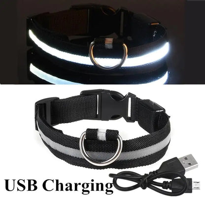 Safety And Visibility For Night Walks by Anti Spier