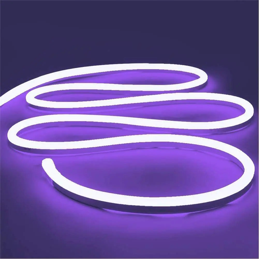 1M 2M 3M 5M 12V Flexible Sign Neon Lights Silicone Tube LED Strip Waterproof USA by Anti Spier