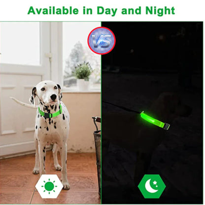 LED Adjustable Dog Collar Blinking Flashing Light Up Glow Pets Safety Waterproof by Anti Spier