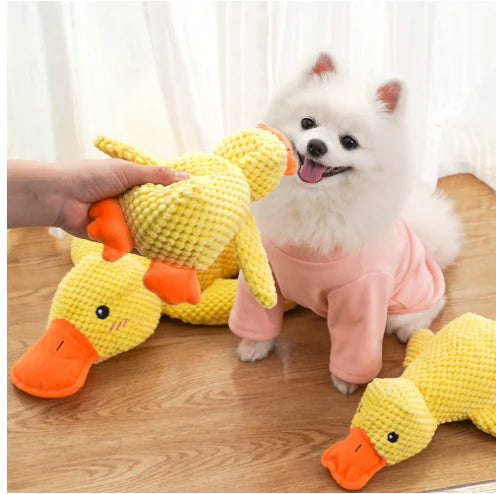 Calming Duck Toy by Anti Spier