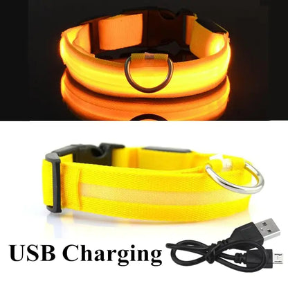 Safety And Visibility For Night Walks by Anti Spier