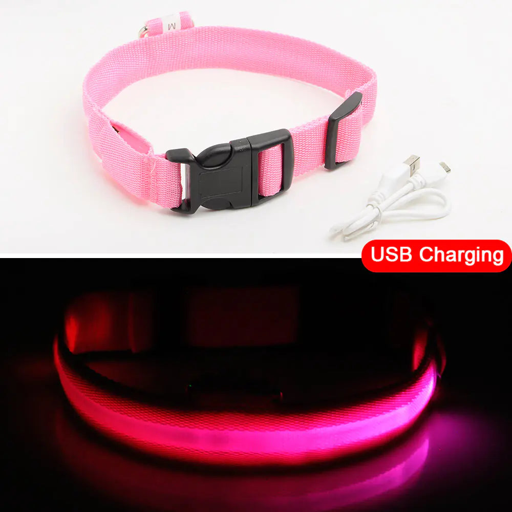 LED Dog Collar - Anti-Lost Rechargeable Safety Light-Up Collar for Night Walks by Anti Spier