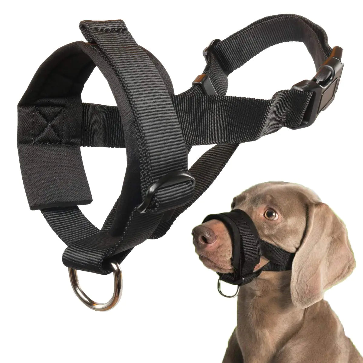 Dog Muzzle for Small Medium Large Dogs Anti Biting Barking Chewing with Soft Padding and Adjustable Loop by Anti Spier