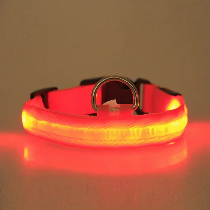LED PET Safety Halo Style Collar by Anti Spier