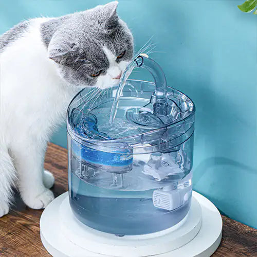Drinking Bowl Auto Drinking Filter for Pets by Anti Spier