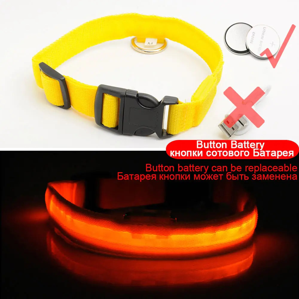LED Dog Collar - Anti-Lost Rechargeable Safety Light-Up Collar for Night Walks by Anti Spier