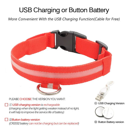 LED Dog Collar - Anti-Lost Rechargeable Safety Light-Up Collar for Night Walks by Anti Spier