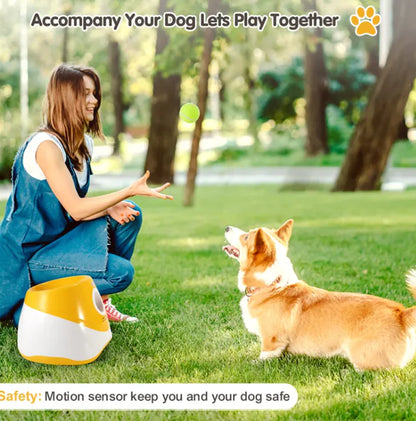 Automatic Dog Ball Thrower by Anti Spier
