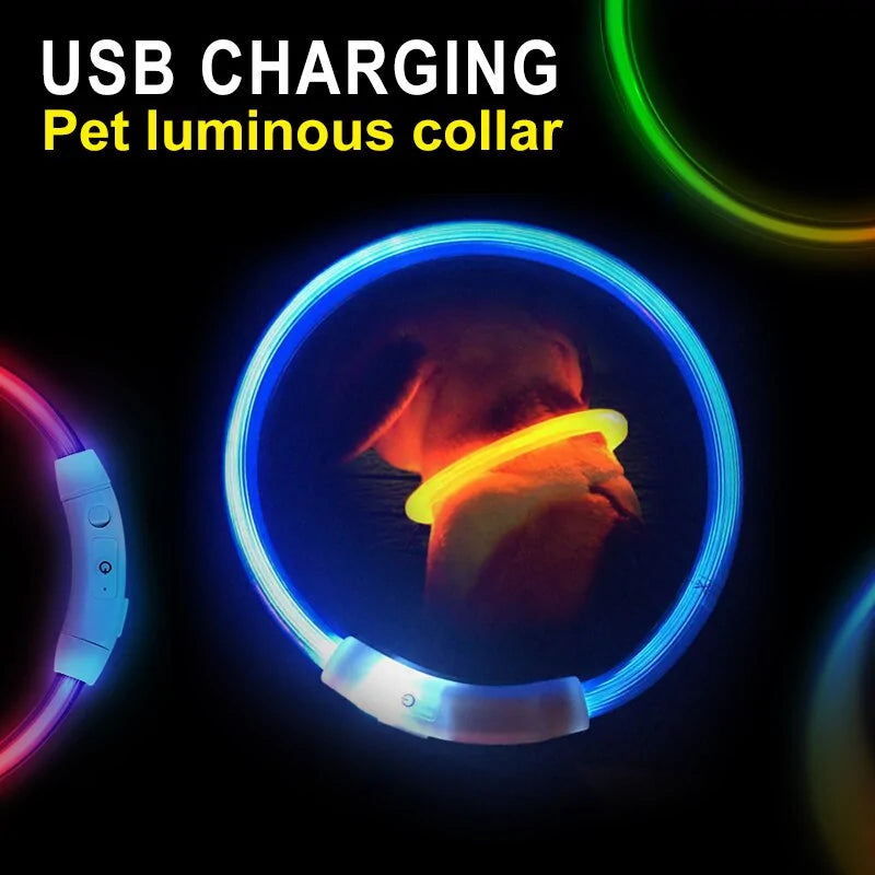 LED Collar Night Safety For Pets by Anti Spier