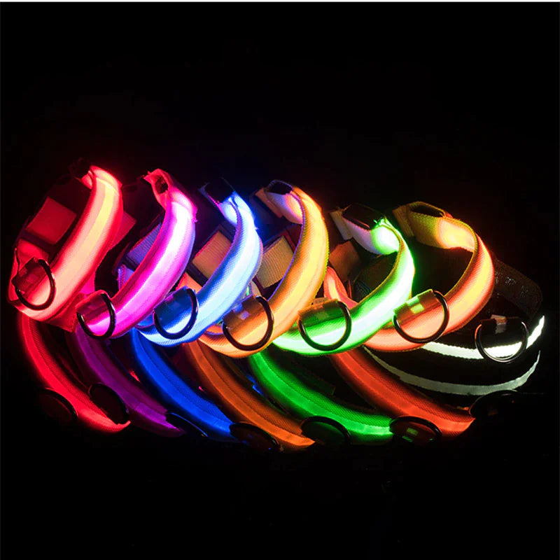 LED Adjustable Dog Collar Blinking Flashing Light Up Glow Pets Safety Waterproof by Anti Spier