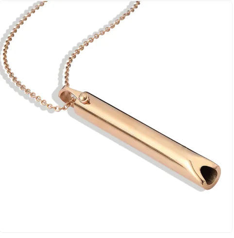 Titanium Whistle Steel Pendant Necklace by Anti Spier
