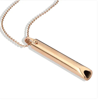 Titanium Whistle Steel Pendant Necklace by Anti Spier