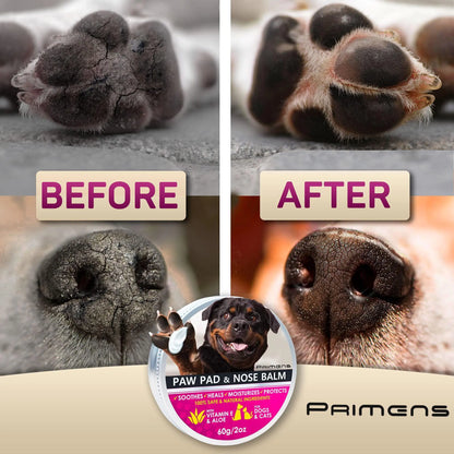 Natural Dog Paw Balm Dog Paw Protection for Hot Pavement Dog Paw Wax 2 oz by Anti Spier
