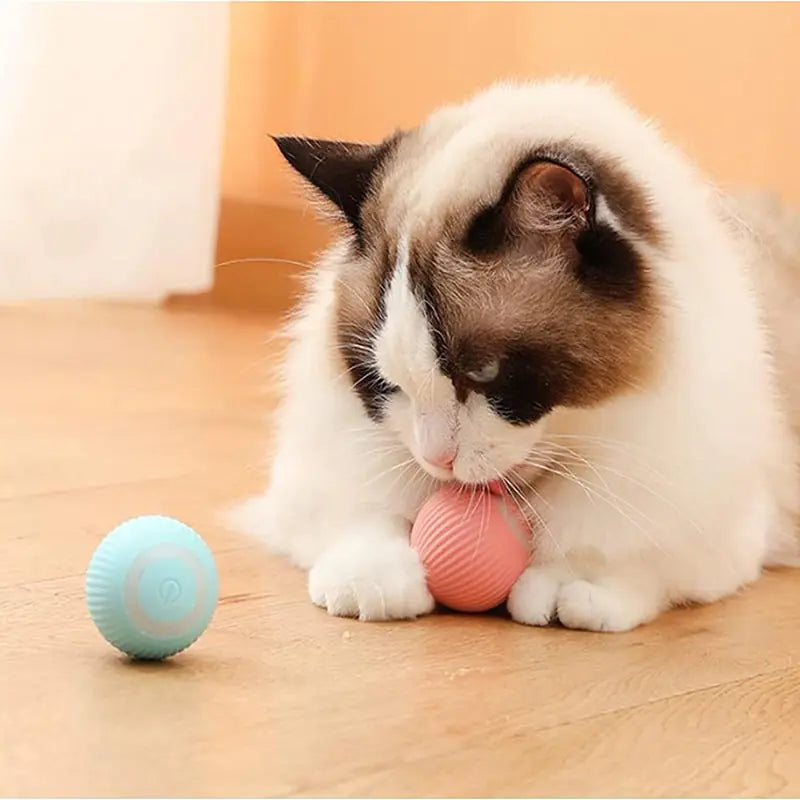 Electric Dog Toys Smart Puppy Ball Toys For Cat Small Dogs Funny Auto Rolling Ball Self-moving Puppy Games Toys Pet Accessories by Anti Spier