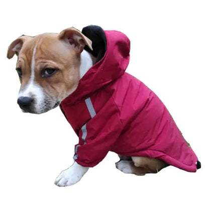 Reflective Pet Hooded Jacket by Anti Spier
