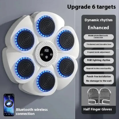 Smart Bluetooth Wireless Boxing Fitness Kit – Home Exercise Equipment by Anti Spier