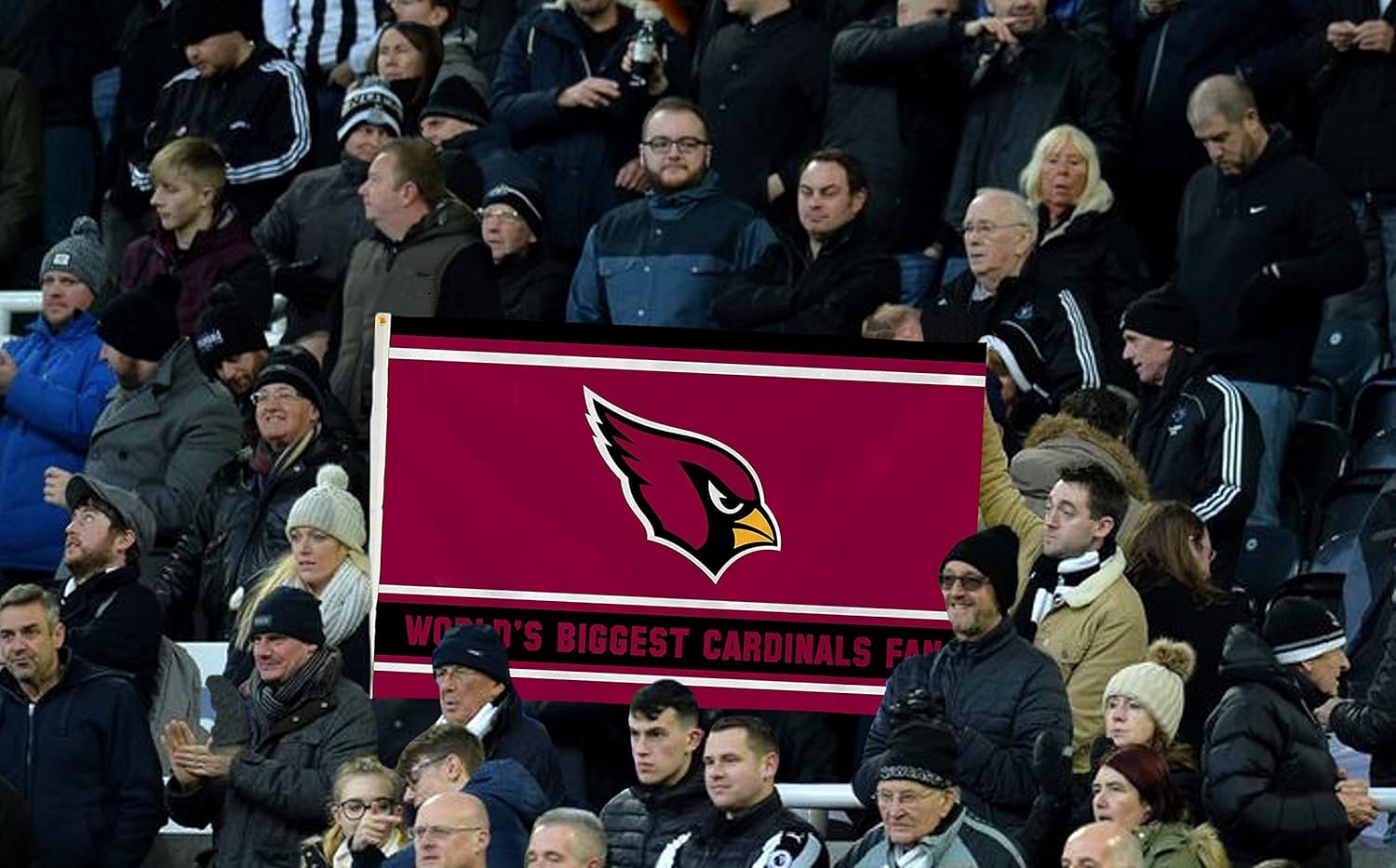 Arizona Cardinals 3x5 Feet Flag Banner, World's Biggest Fan, Metal Grommets, Single Sided, Indoor or Outdoor Use by Fielders Choice