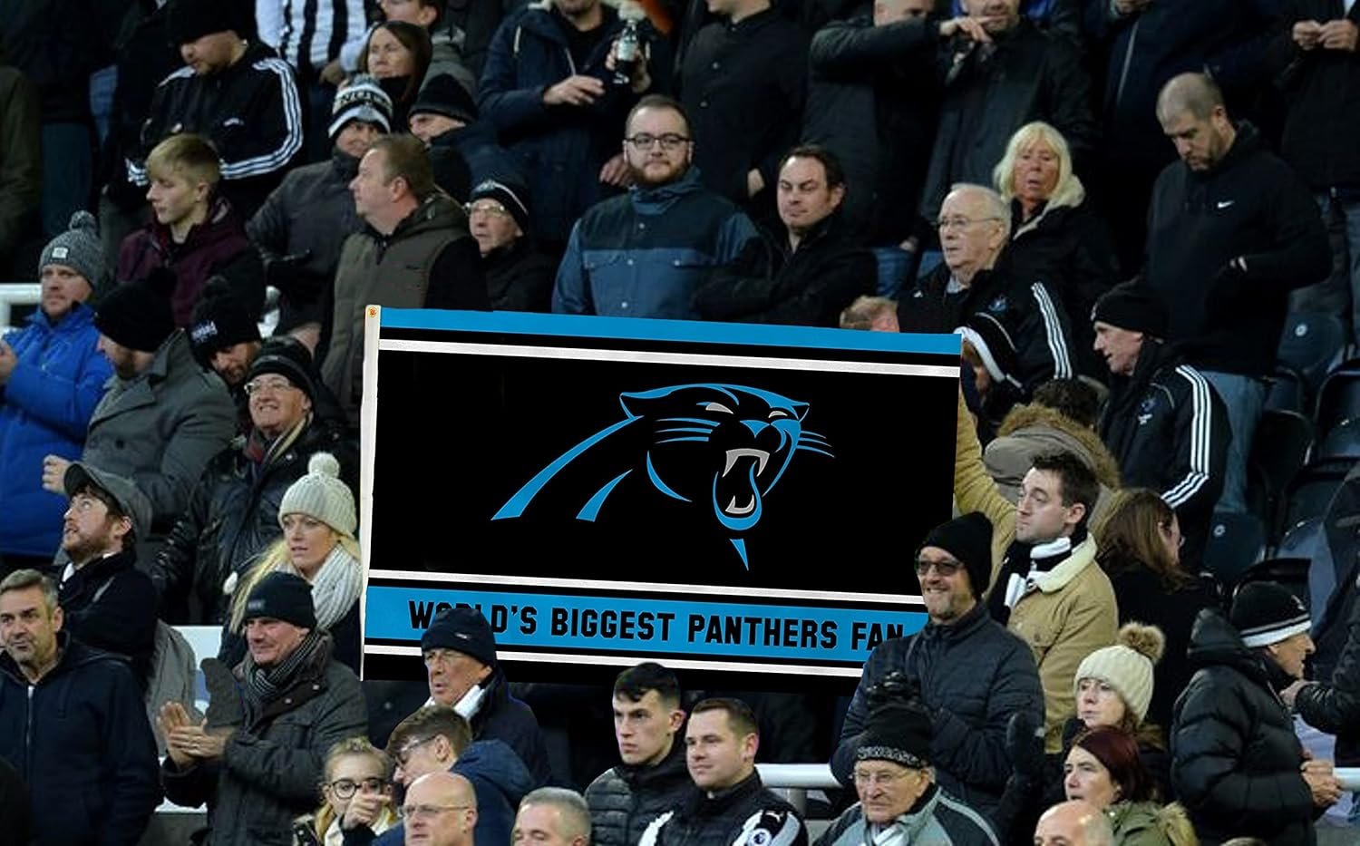 Carolina Panthers 3x5 Feet Flag Banner, World's Biggest Fan, Metal Grommets, Single Sided, Indoor or Outdoor Use by Fielders Choice
