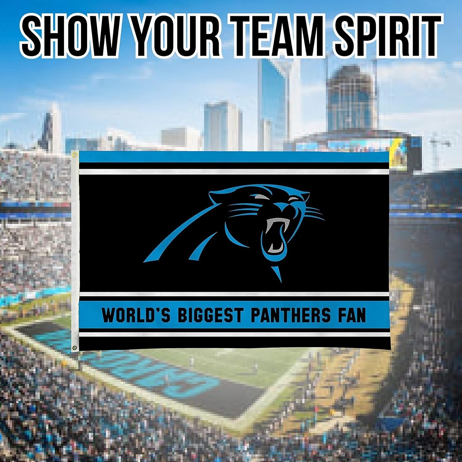 Carolina Panthers 3x5 Feet Flag Banner, World's Biggest Fan, Metal Grommets, Single Sided, Indoor or Outdoor Use by Fielders Choice