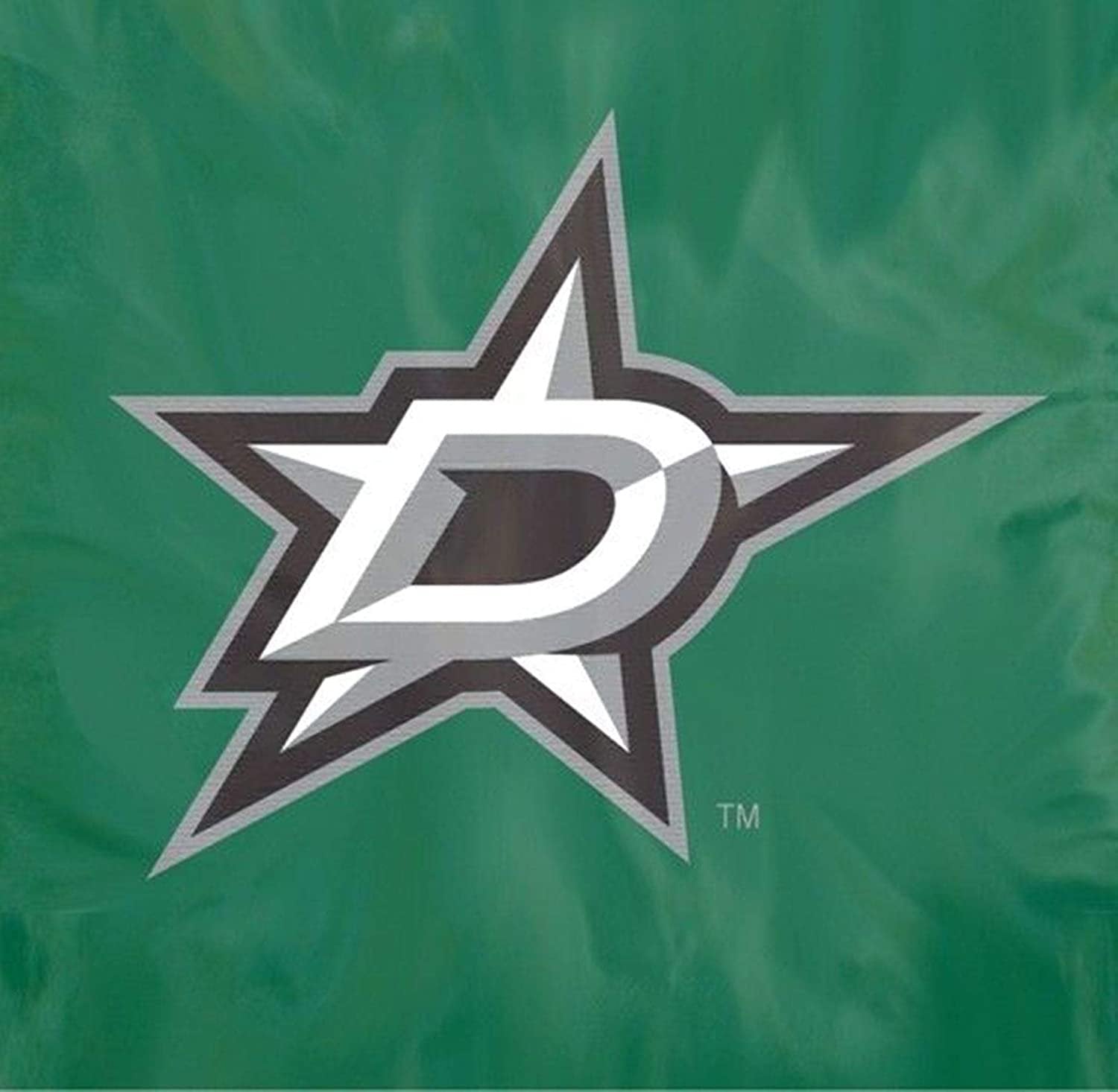 Dallas Stars Premium Garden Flag Banner Applique Embroidered 10x15 Inch by Fielders Choice