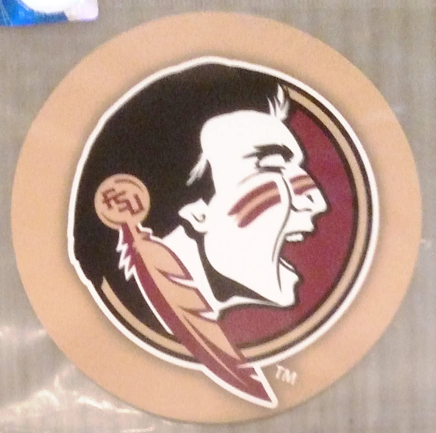 Florida State Seminoles FSU RR 4" Round Vinyl Decal Auto Home Glass University by Fielders Choice