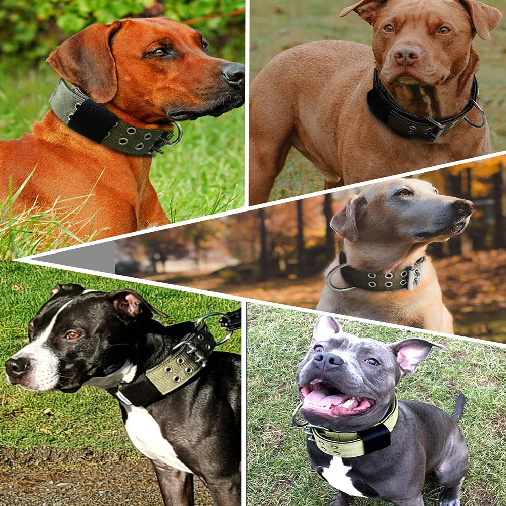 2" Wide Tactical Heavy Duty Nylon Large Dog Collar K9 Military With Metal Buckle by Anti Spier