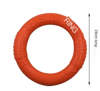 Interactive EVA Training Ring by Anti Spier