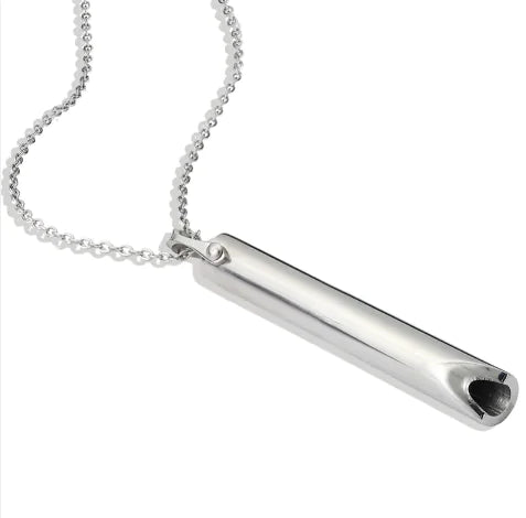 Titanium Whistle Steel Pendant Necklace by Anti Spier