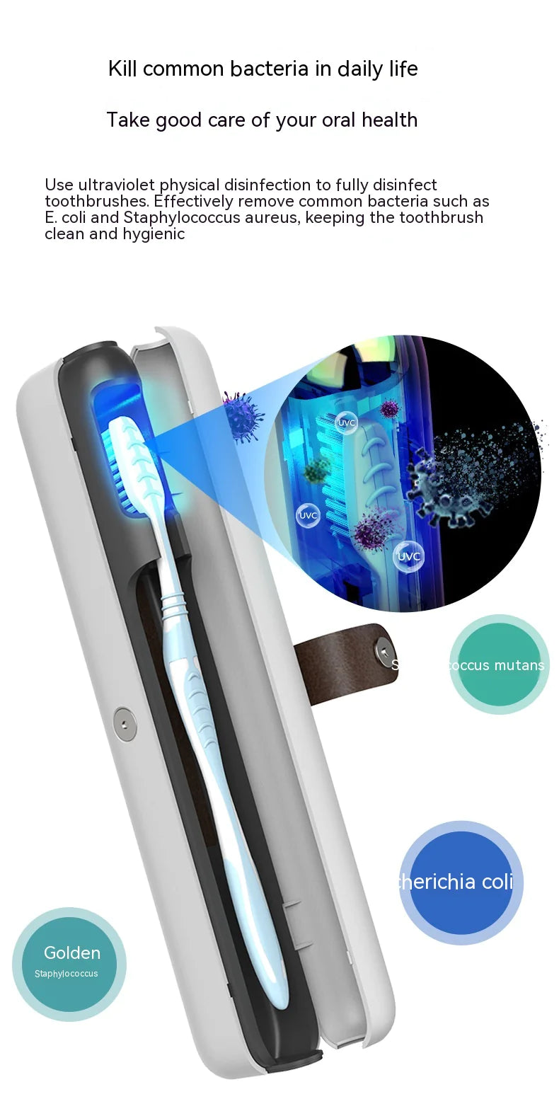 Portable Toothbrush Sterilizer by Anti Spier