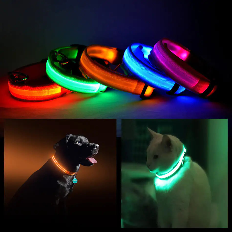 LED PET Safety Halo Style Collar by Anti Spier