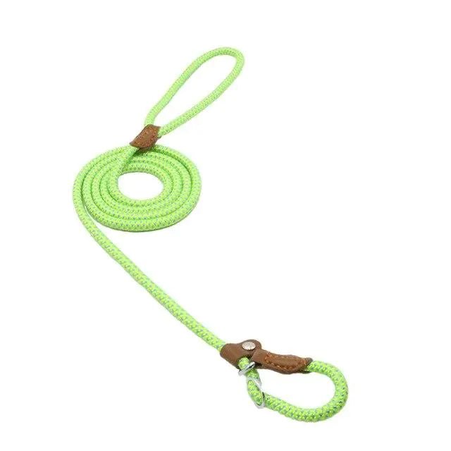 Nylon Pup Set by Anti Spier