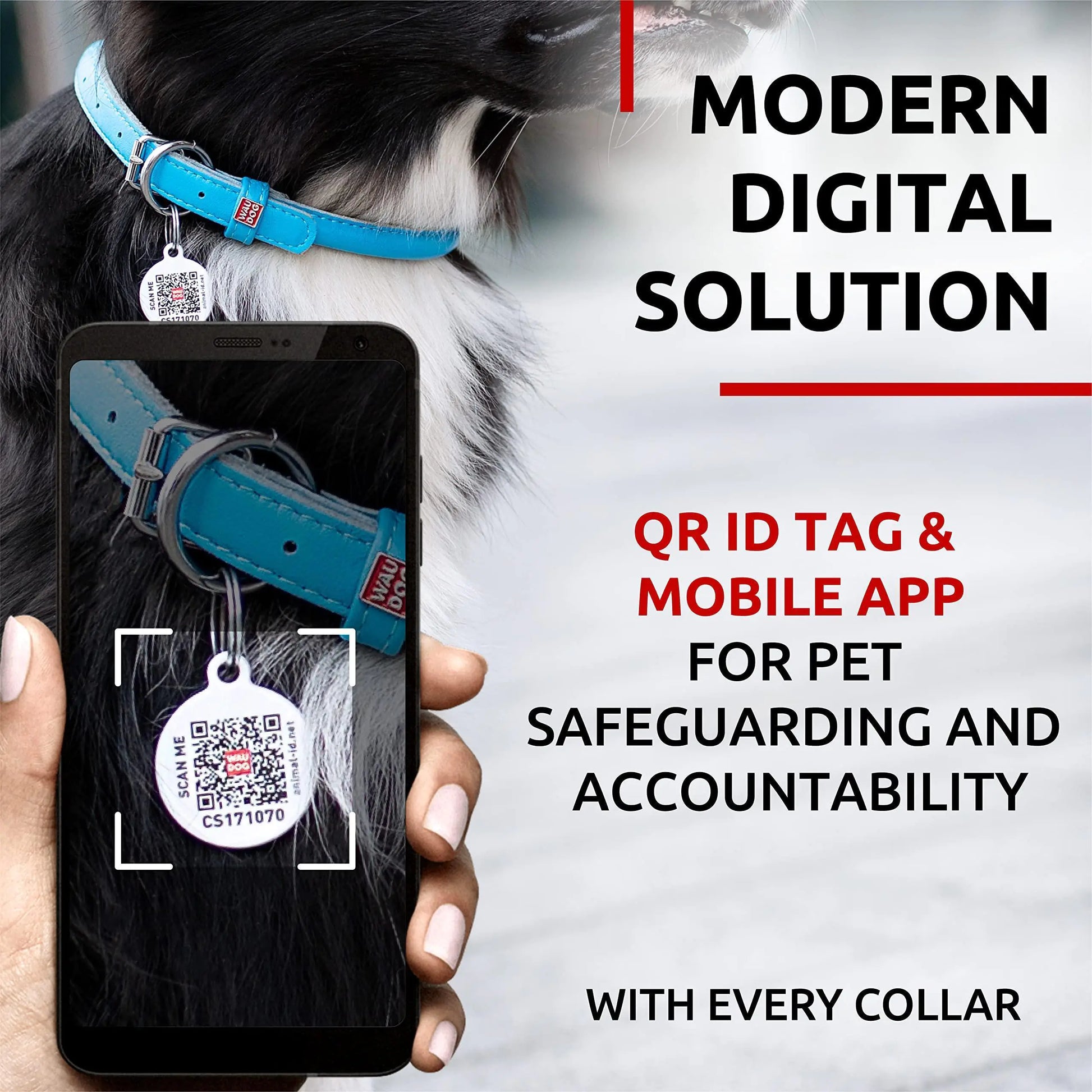 Ultra Soft Rolled Leather Dog Collar for Small Dogs Soft Padded Dog Collars by Anti Spier