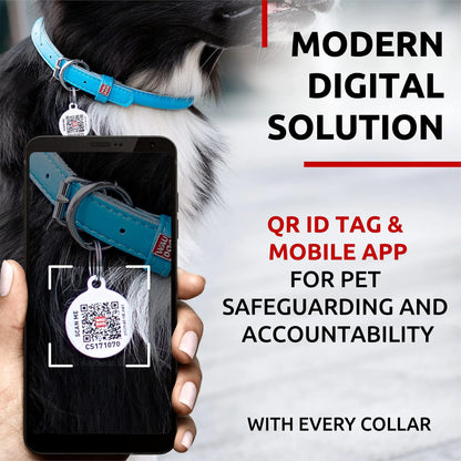 Ultra Soft Rolled Leather Dog Collar for Small Dogs Soft Padded Dog Collars by Anti Spier
