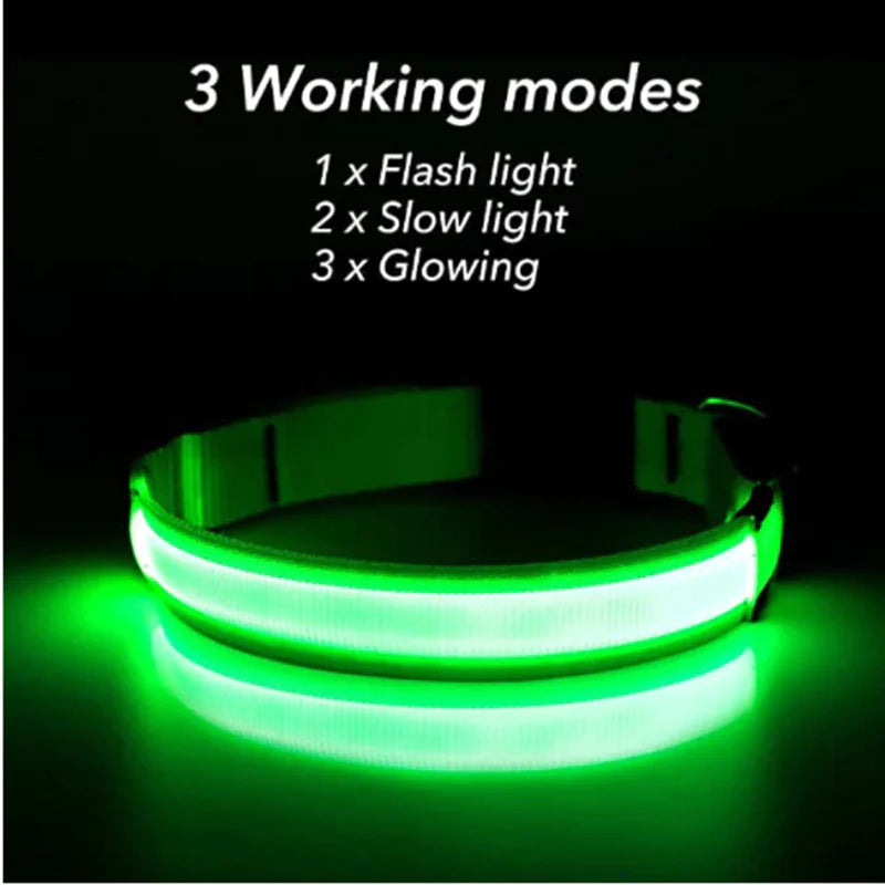 LED Adjustable Dog Collar Blinking Flashing Light Up Glow Pets Safety Waterproof by Anti Spier
