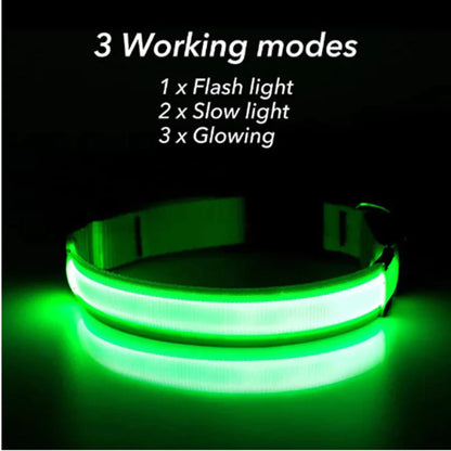 LED Adjustable Dog Collar Blinking Flashing Light Up Glow Pets Safety Waterproof by Anti Spier