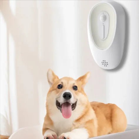 Pet Odor Eliminator for Litter Boxes by Anti Spier
