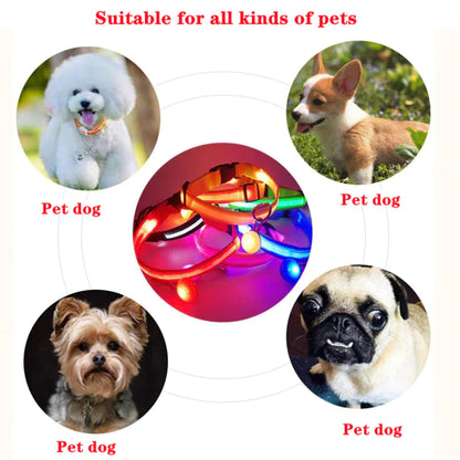 LED Adjustable Dog Collar Blinking Flashing Light Up Glow Pets Safety Waterproof by Anti Spier