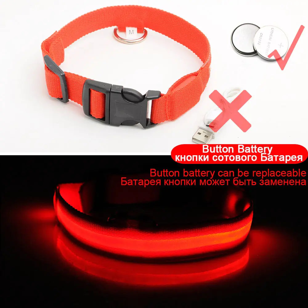 LED Dog Collar - Anti-Lost Rechargeable Safety Light-Up Collar for Night Walks by Anti Spier