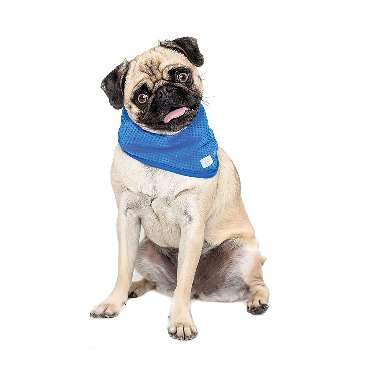 Dog Cooling Bandana by Anti Spier